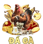 Đá gà QH88 trực tuyến với nhiều trận đấu